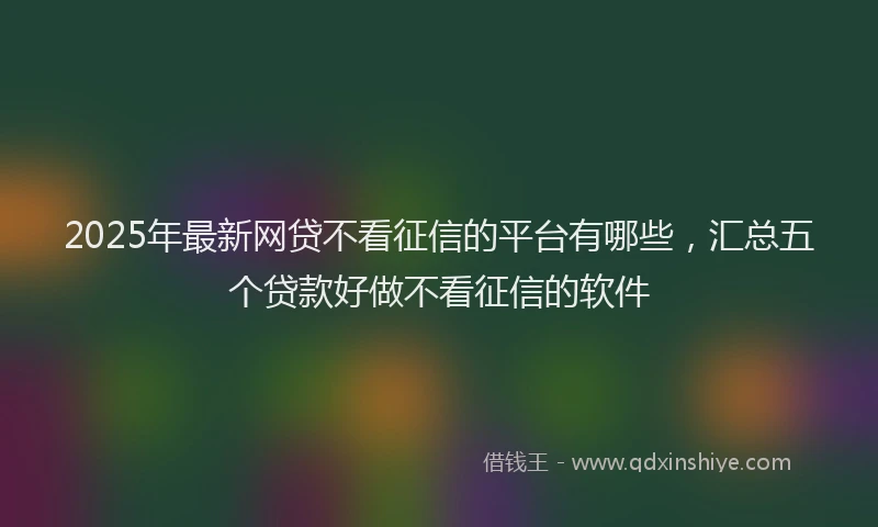 2025年最新网贷不看征信的平台有哪些，汇总五个贷款好做不看征信的软件