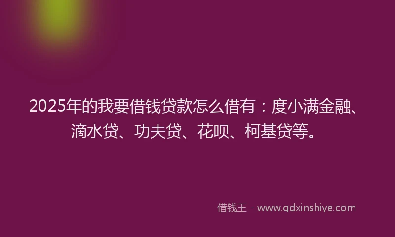 2025年的我要借钱贷款怎么借有：度小满金融、滴水贷、功夫贷、花呗、柯基贷等。