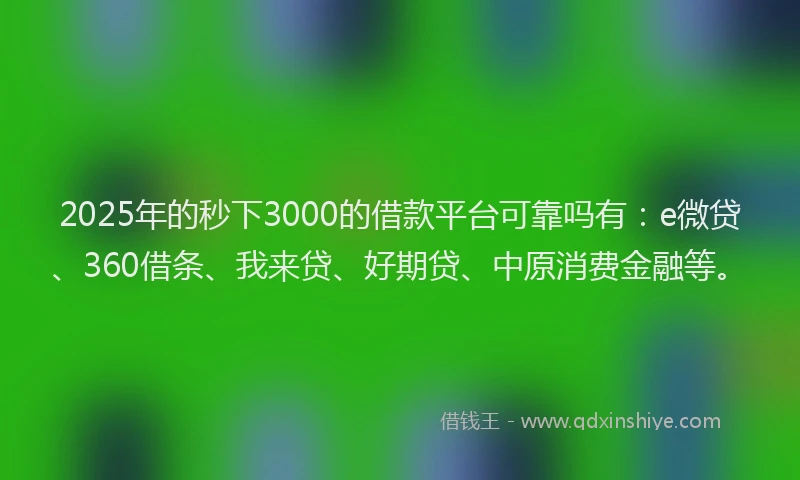 2025年的秒下3000的借款平台可靠吗有：e微贷、360借条、我来贷、好期贷、中原消费金融等。