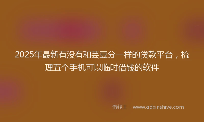 2025年最新有没有和芸豆分一样的贷款平台，梳理五个手机可以临时借钱的软件