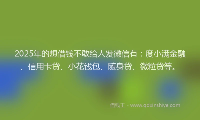 2025年的想借钱不敢给人发微信有：度小满金融、信用卡贷、小花钱包、随身贷、微粒贷等。