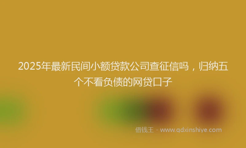 2025年最新民间小额贷款公司查征信吗，归纳五个不看负债的网贷口子