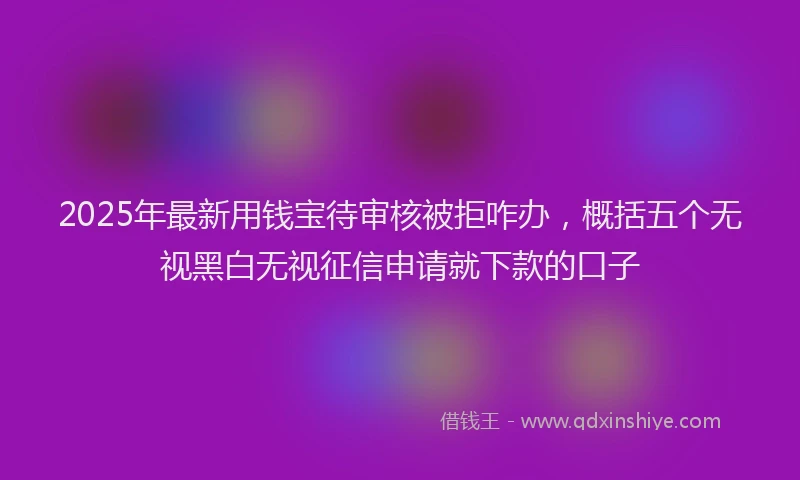 2025年最新用钱宝待审核被拒咋办，概括五个无视黑白无视征信申请就下款的口子