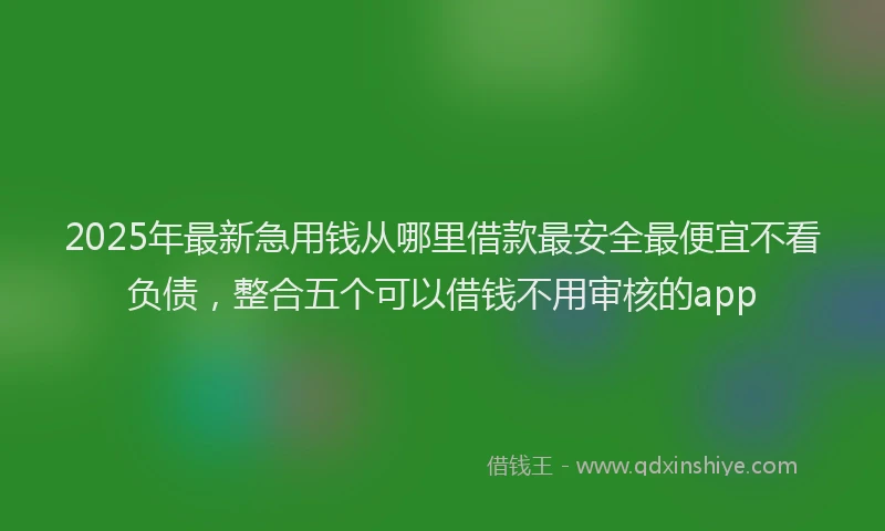 2025年最新急用钱从哪里借款最安全最便宜不看负债，整合五个可以借钱不用审核的app