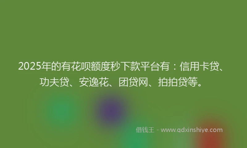 2025年的有花呗额度秒下款平台有：信用卡贷、功夫贷、安逸花、团贷网、拍拍贷等。