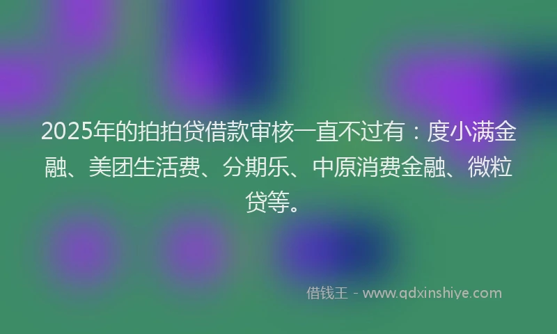 2025年的拍拍贷借款审核一直不过有：度小满金融、美团生活费、分期乐、中原消费金融、微粒贷等。