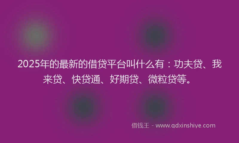 2025年的最新的借贷平台叫什么有：功夫贷、我来贷、快贷通、好期贷、微粒贷等。