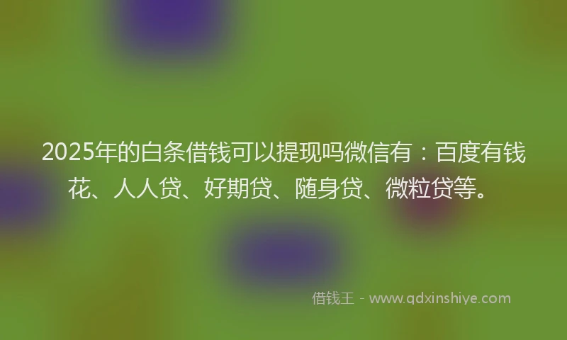 2025年的白条借钱可以提现吗微信有：百度有钱花、人人贷、好期贷、随身贷、微粒贷等。