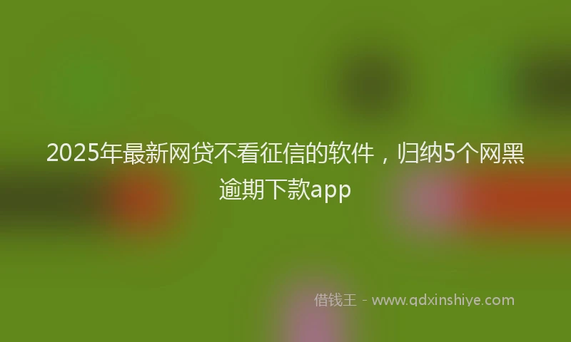 2025年最新网贷不看征信的软件，归纳5个网黑逾期下款app