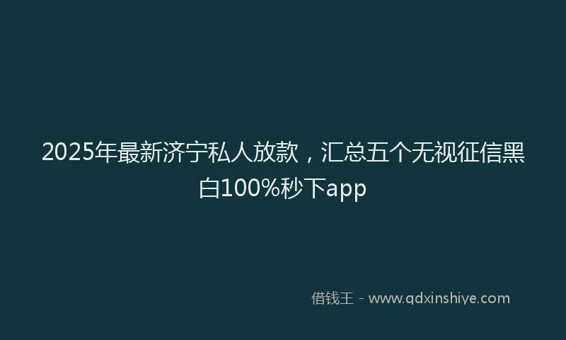 2025年最新济宁私人放款，汇总五个无视征信黑白100%秒下app