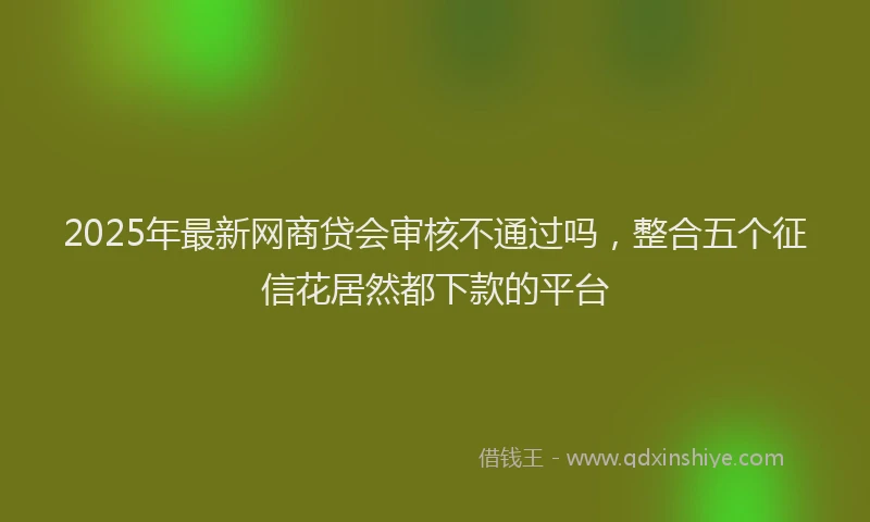 2025年最新网商贷会审核不通过吗，整合五个征信花居然都下款的平台