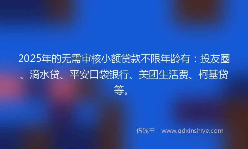 2025年的无需审核小额贷款不限年龄有：投友圈、滴水贷、平安口袋银行、美团生活费、柯基贷等。