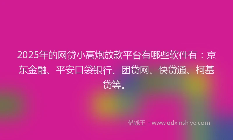 2025年的网贷小高炮放款平台有哪些软件有：京东金融、平安口袋银行、团贷网、快贷通、柯基贷等。
