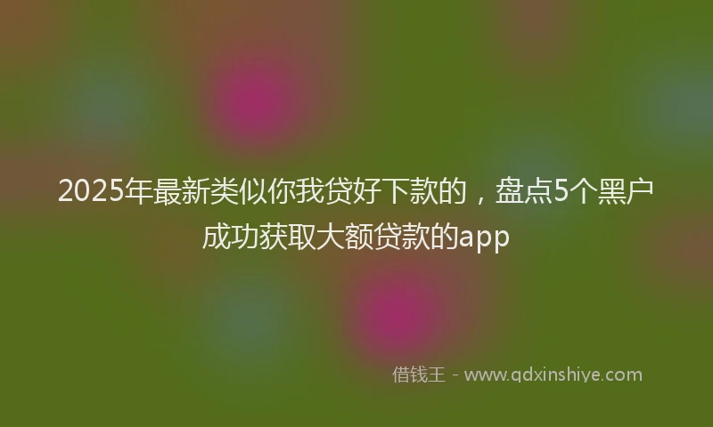 2025年最新类似你我贷好下款的，盘点5个黑户成功获取大额贷款的app