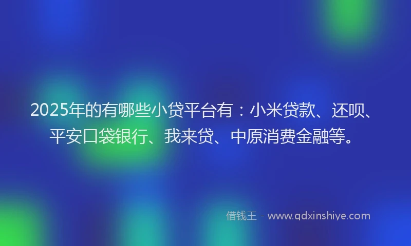 2025年的有哪些小贷平台有：小米贷款、还呗、平安口袋银行、我来贷、中原消费金融等。