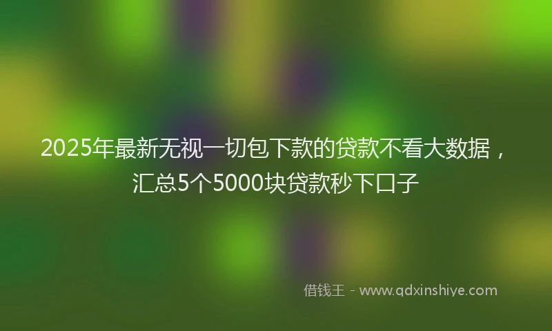 2025年最新无视一切包下款的贷款不看大数据，汇总5个5000块贷款秒下口子
