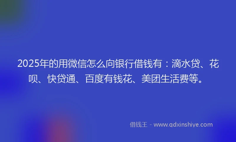 2025年的用微信怎么向银行借钱有：滴水贷、花呗、快贷通、百度有钱花、美团生活费等。