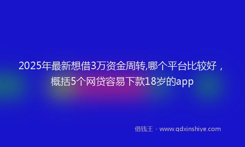 2025年最新想借3万资金周转,哪个平台比较好，概括5个网贷容易下款18岁的app
