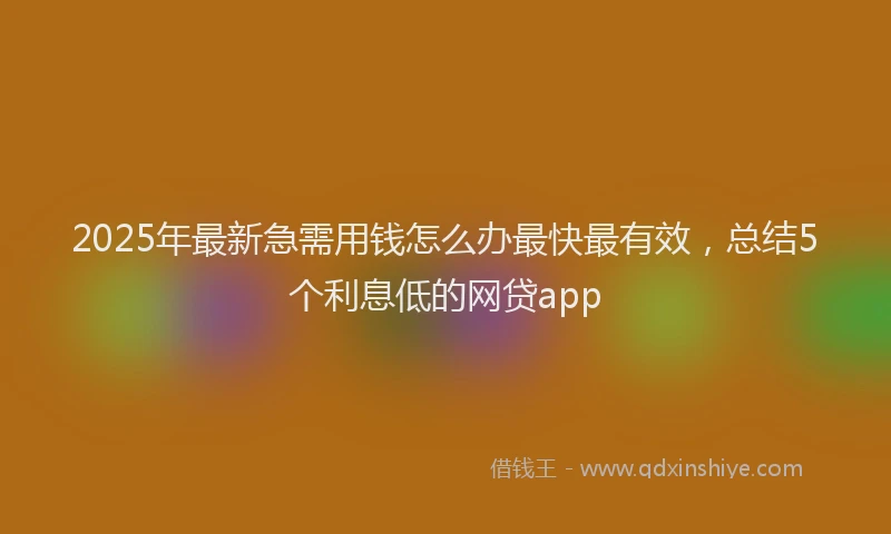 2025年最新急需用钱怎么办最快最有效，总结5个利息低的网贷app