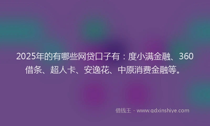 2025年的有哪些网贷口子有：度小满金融、360借条、超人卡、安逸花、中原消费金融等。