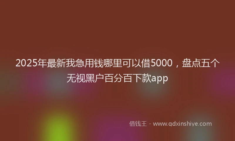 2025年最新我急用钱哪里可以借5000，盘点五个无视黑户百分百下款app