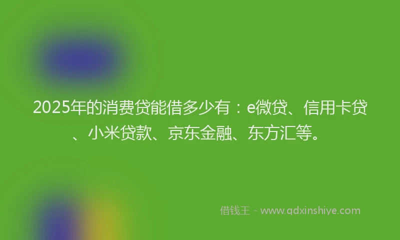 2025年的消费贷能借多少有：e微贷、信用卡贷、小米贷款、京东金融、东方汇等。