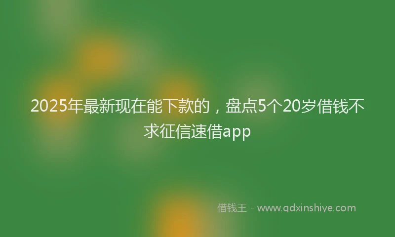 2025年最新现在能下款的，盘点5个20岁借钱不求征信速借app