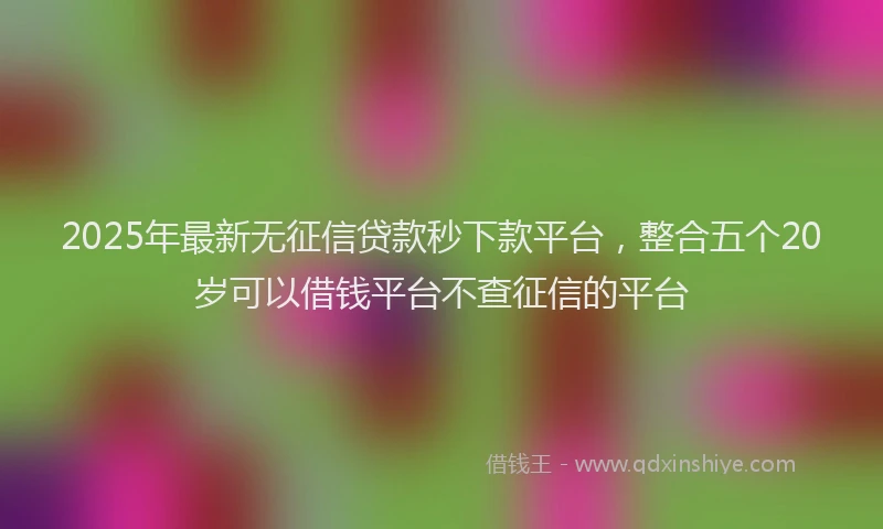 2025年最新无征信贷款秒下款平台，整合五个20岁可以借钱平台不查征信的平台
