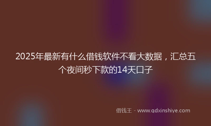 2025年最新有什么借钱软件不看大数据，汇总五个夜间秒下款的14天口子