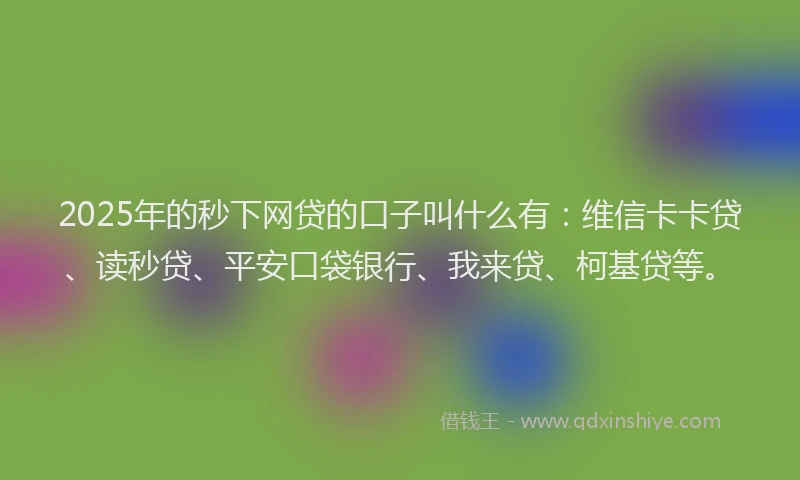 2025年的秒下网贷的口子叫什么有：维信卡卡贷、读秒贷、平安口袋银行、我来贷、柯基贷等。