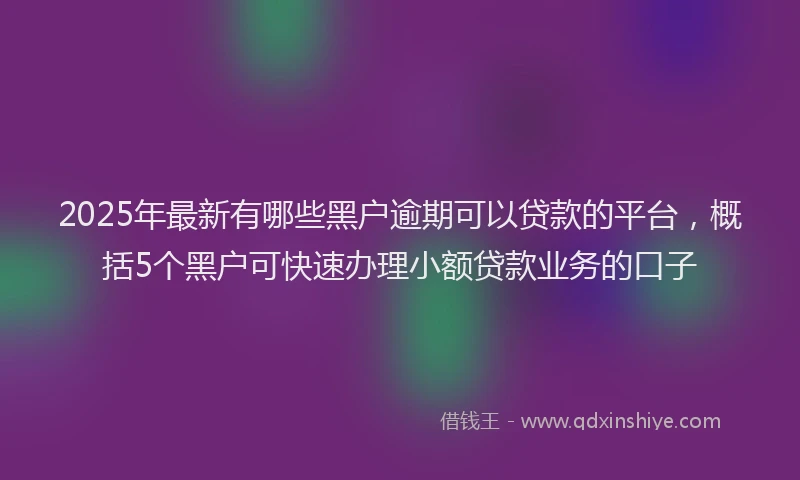 2025年最新有哪些黑户逾期可以贷款的平台，概括5个黑户可快速办理小额贷款业务的口子