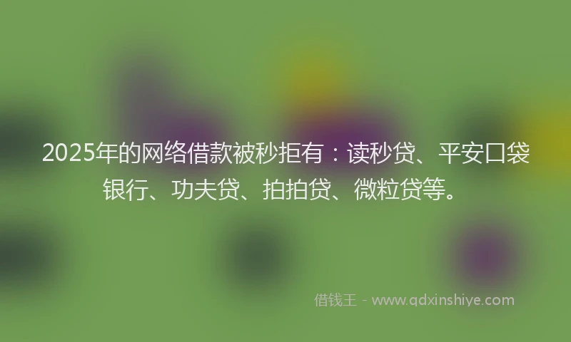 2025年的网络借款被秒拒有：读秒贷、平安口袋银行、功夫贷、拍拍贷、微粒贷等。