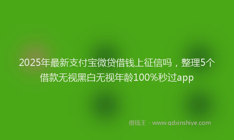 2025年最新支付宝微贷借钱上征信吗，整理5个借款无视黑白无视年龄100%秒过app