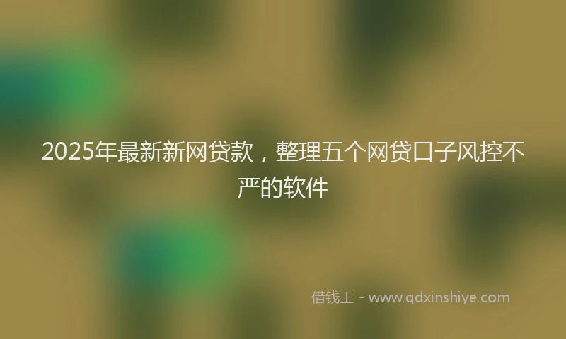 2025年最新新网贷款，整理五个网贷口子风控不严的软件
