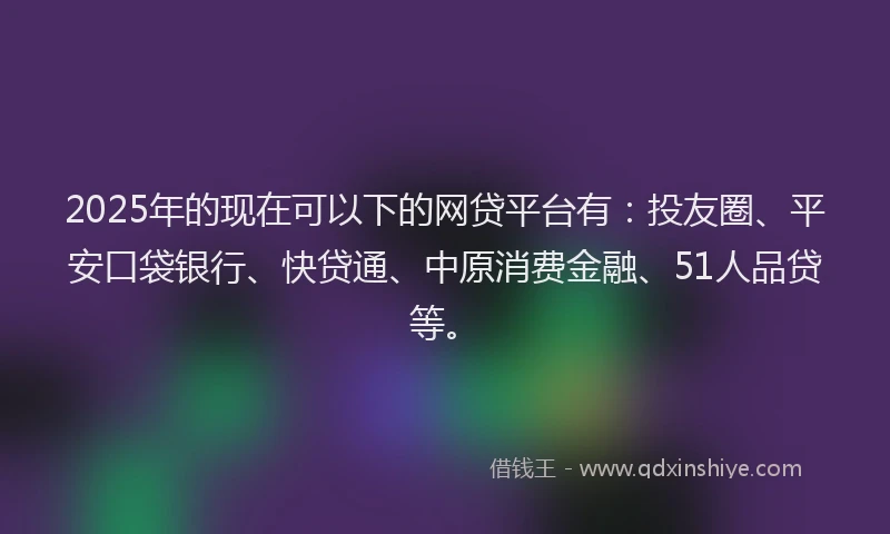 2025年的现在可以下的网贷平台有：投友圈、平安口袋银行、快贷通、中原消费金融、51人品贷等。