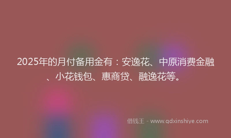 2025年的月付备用金有：安逸花、中原消费金融、小花钱包、惠商贷、融逸花等。