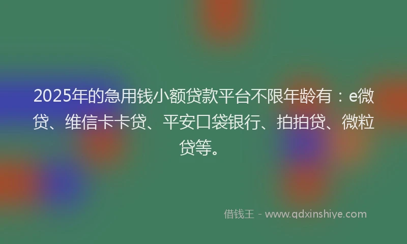 2025年的急用钱小额贷款平台不限年龄有：e微贷、维信卡卡贷、平安口袋银行、拍拍贷、微粒贷等。