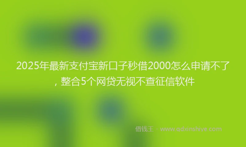 2025年最新支付宝新口子秒借2000怎么申请不了，整合5个网贷无视不查征信软件