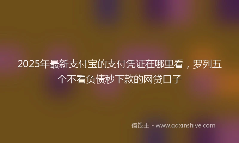 2025年最新支付宝的支付凭证在哪里看，罗列五个不看负债秒下款的网贷口子