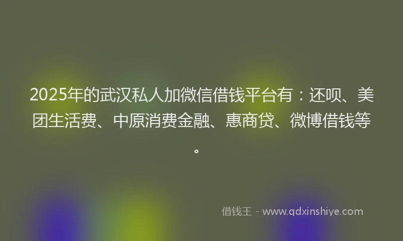 2025年的武汉私人加微信借钱平台有：还呗、美团生活费、中原消费金融、惠商贷、微博借钱等。