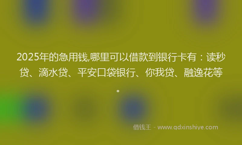 2025年的急用钱,哪里可以借款到银行卡有：读秒贷、滴水贷、平安口袋银行、你我贷、融逸花等。