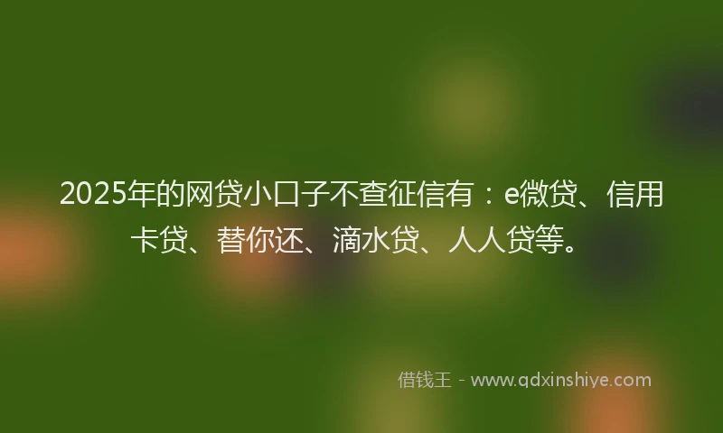 2025年的网贷小口子不查征信有：e微贷、信用卡贷、替你还、滴水贷、人人贷等。