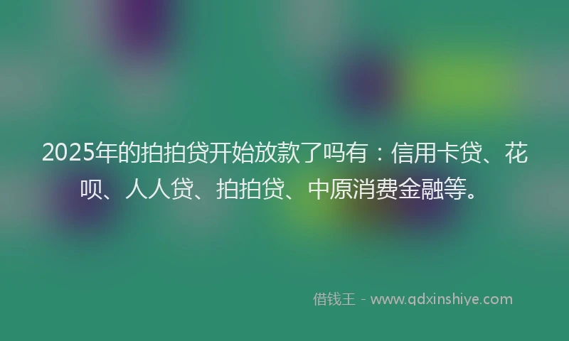2025年的拍拍贷开始放款了吗有：信用卡贷、花呗、人人贷、拍拍贷、中原消费金融等。
