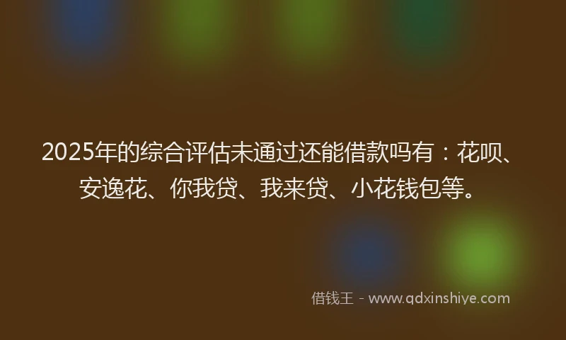 2025年的综合评估未通过还能借款吗有：花呗、安逸花、你我贷、我来贷、小花钱包等。