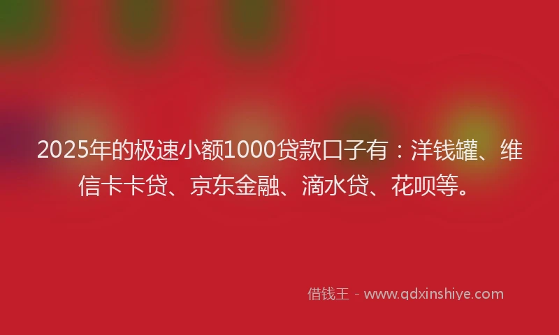 2025年的极速小额1000贷款口子有：洋钱罐、维信卡卡贷、京东金融、滴水贷、花呗等。