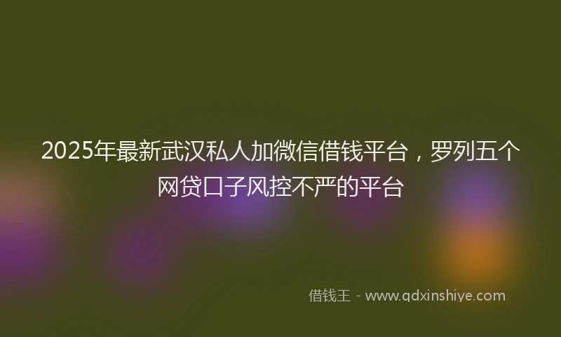 2025年最新武汉私人加微信借钱平台，罗列五个网贷口子风控不严的平台
