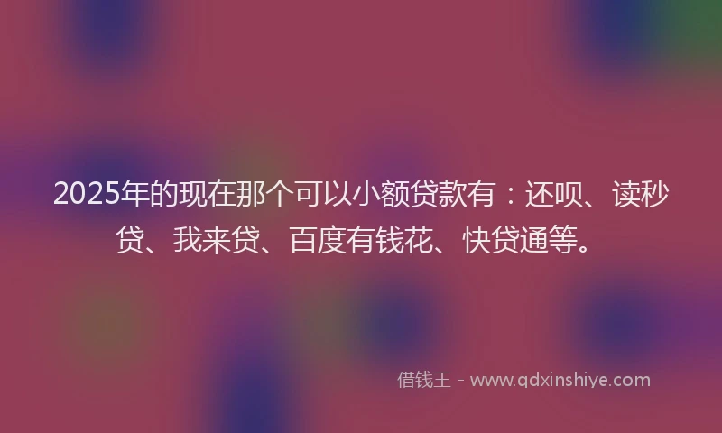 2025年的现在那个可以小额贷款有：还呗、读秒贷、我来贷、百度有钱花、快贷通等。