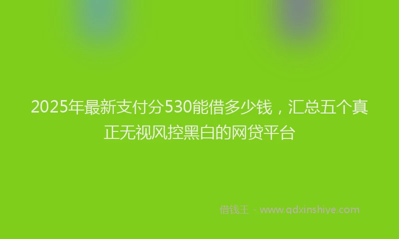 2025年最新支付分530能借多少钱，汇总五个真正无视风控黑白的网贷平台