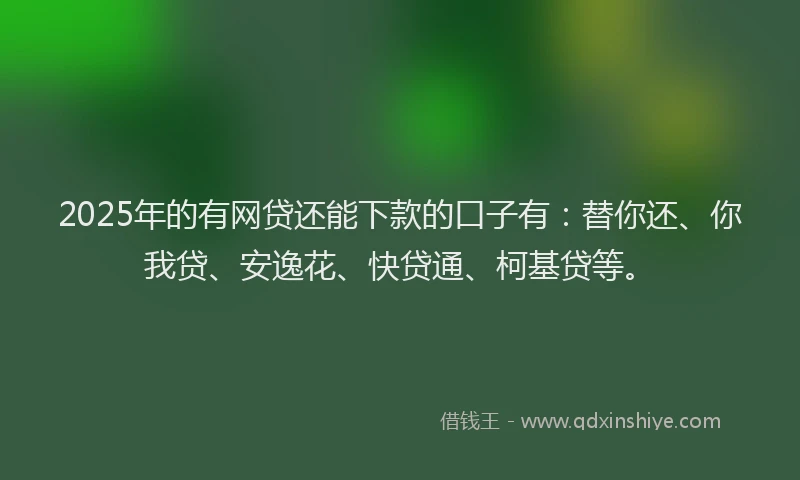 2025年的有网贷还能下款的口子有：替你还、你我贷、安逸花、快贷通、柯基贷等。