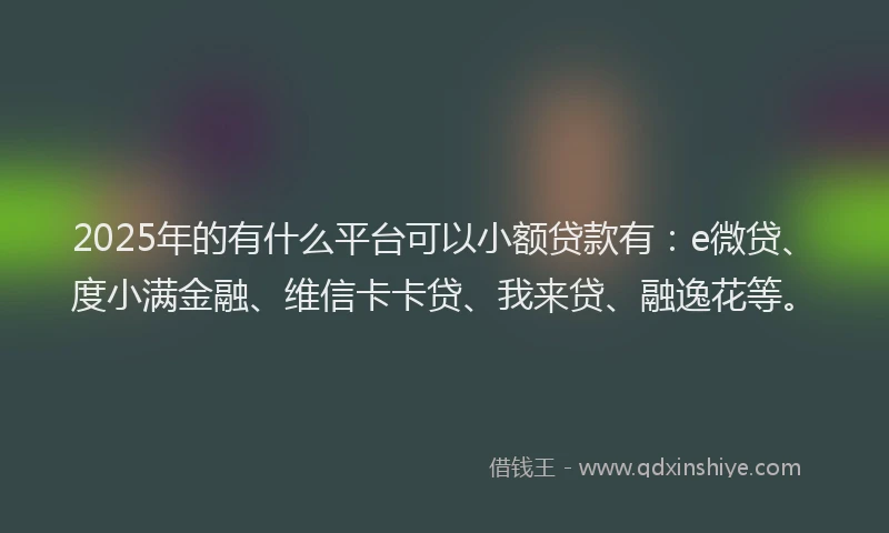2025年的有什么平台可以小额贷款有：e微贷、度小满金融、维信卡卡贷、我来贷、融逸花等。